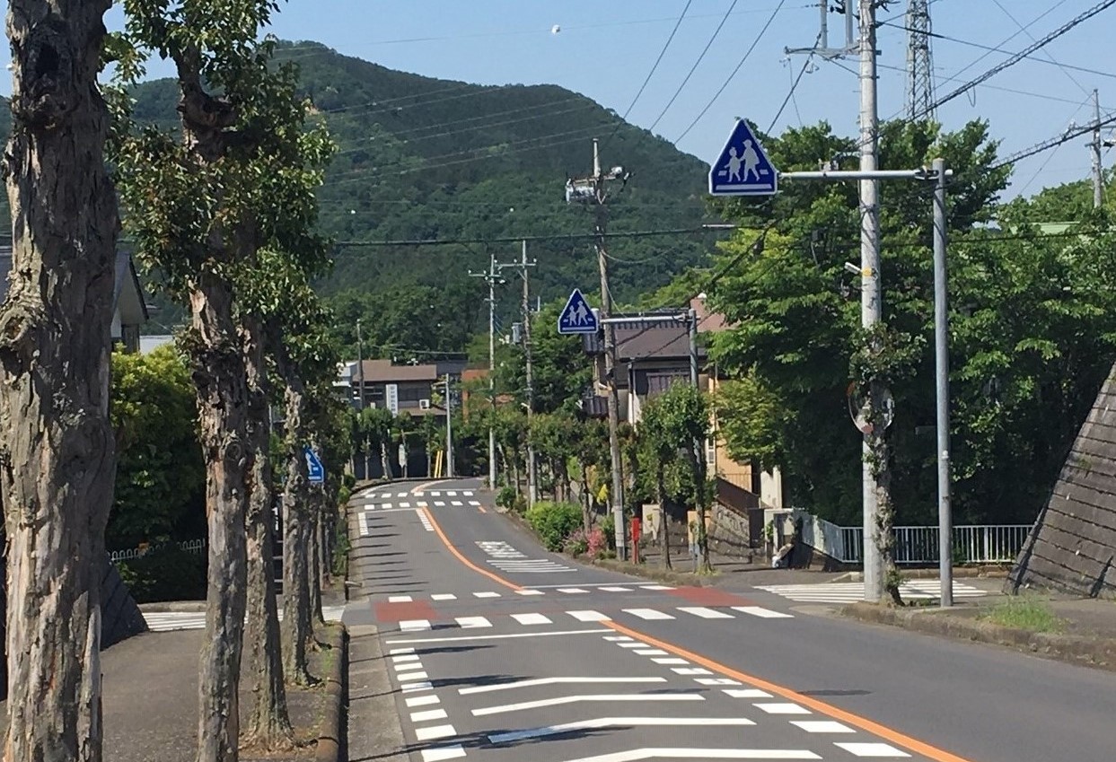 ３丁目側からの駅前通りと日和田山。